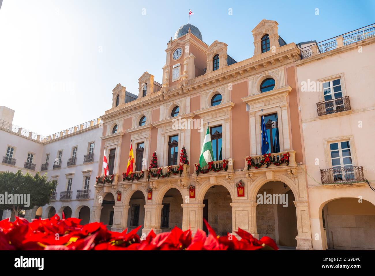 Fiori rossi nella piazza del municipio della città di Almeria, Andalusia. Spagna. Costa del sol nel mar mediterraneo Foto Stock