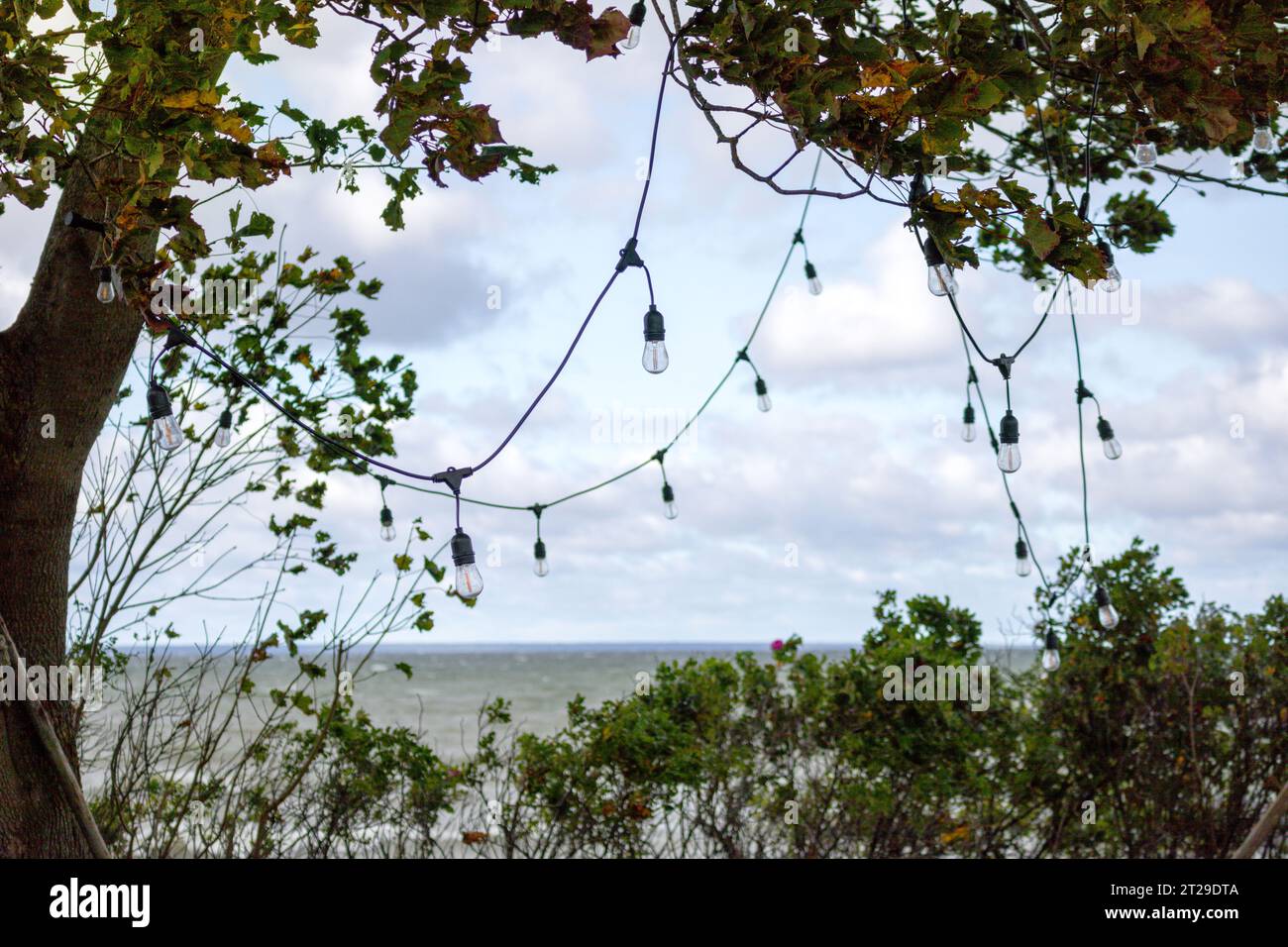 Le lampadine sono appese ai rami degli alberi sullo sfondo del mare Foto Stock