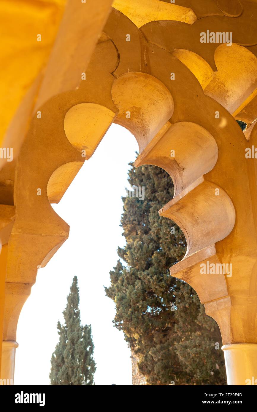 Dettaglio di preziose finestre e porte arabe all'interno dell'Alcazaba nella città di Malaga, Andalusia. Spagna. Fortezza medievale in stile arabo Foto Stock
