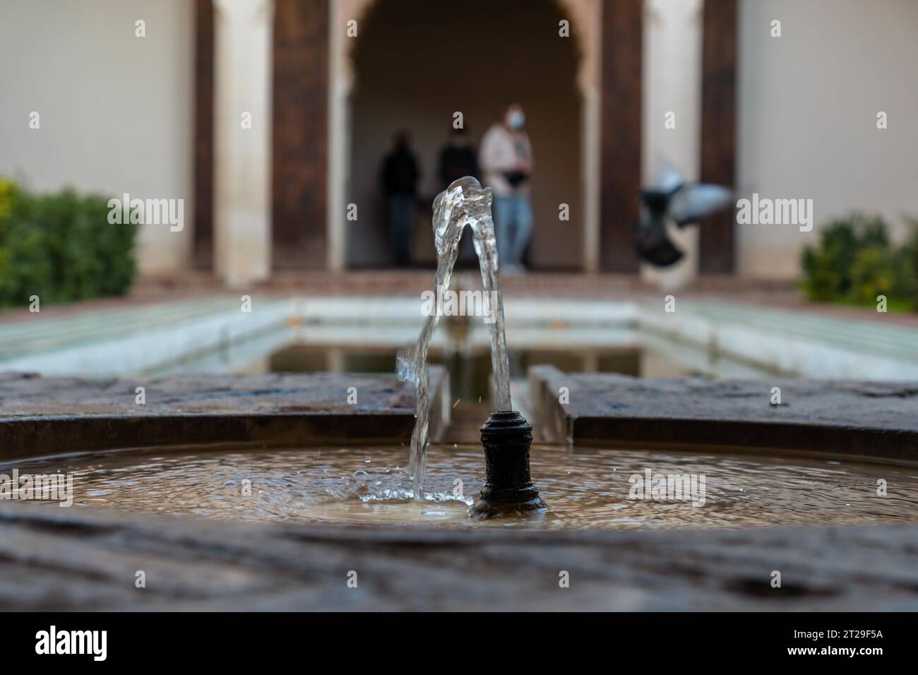 Splendido cortile con fontane all'interno dell'Alcazaba nella città di Malaga, Andalusia. Spagna. Fortezza medievale in stile arabo Foto Stock