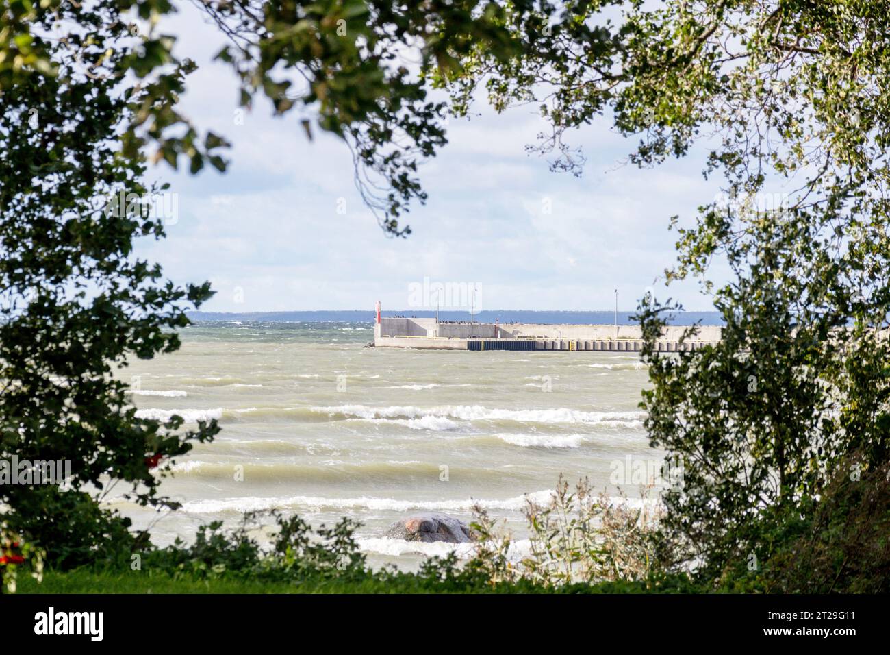 Molo nel mare tra rami di alberi Foto Stock