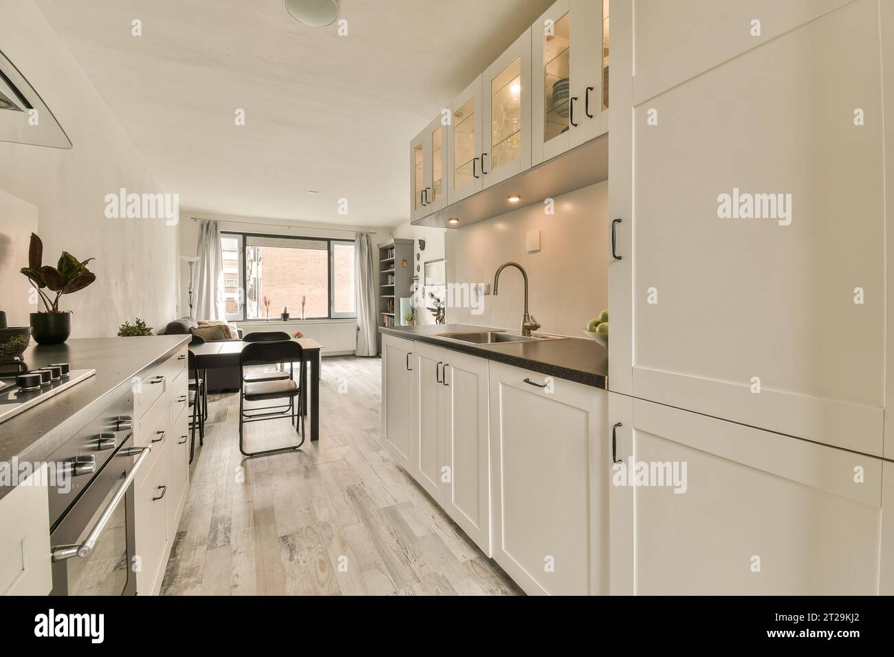Grande cucina open space con armadietti e bancone pulito contro la finestra in un appartamento contemporaneo Foto Stock