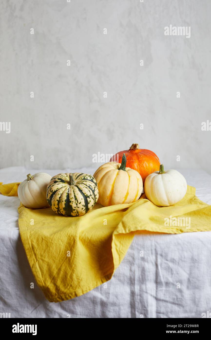 Composizione STILL Life con tipi assortiti di zucche rotonde fresche di vari colori collocate in tavolo con un asciugamano giallo vicino a parete bianca Foto Stock
