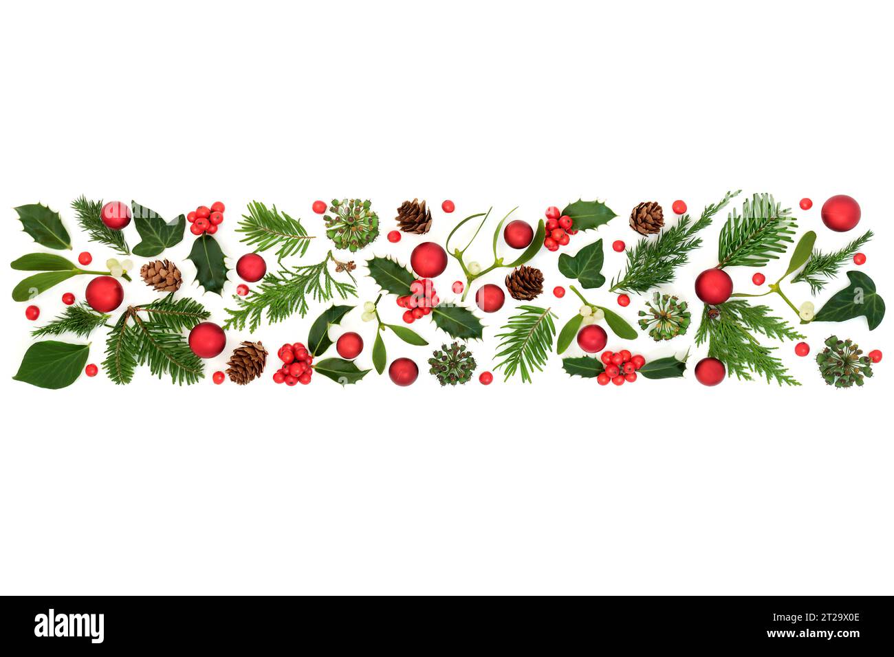 Inverno natalizio vegetazione in vischio di holly, striscione rosso bauble su sfondo bianco disegno naturale natalizio per le festività natalizie. Foto Stock