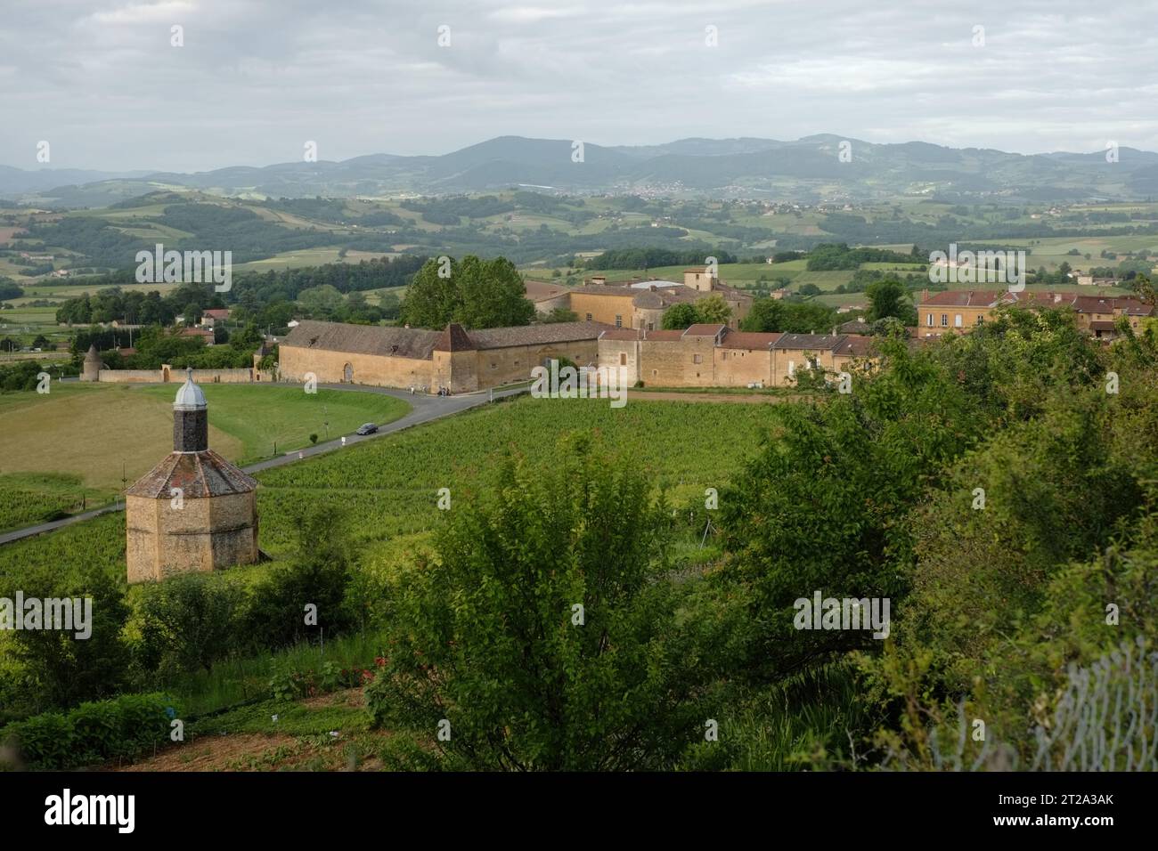 Vista in cima alla collina del pigeonieer, delle colombe, dei frutteti e dei vigneti, della campagna del villaggio di Bagnols nelle pietre dorate - regione francese Pierre Dorées Foto Stock