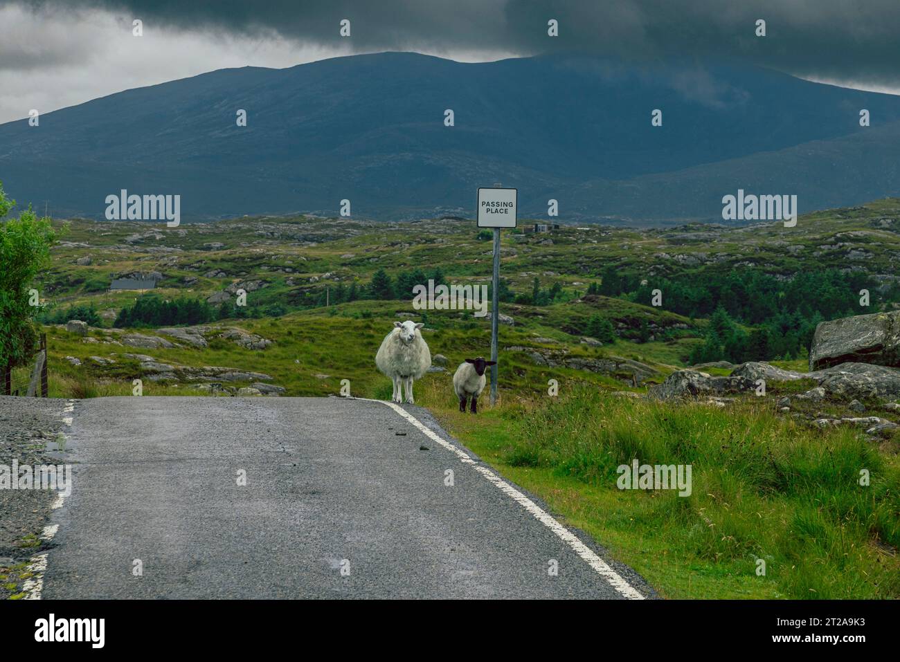 I luoghi di passaggio sono iconici sulle piccole strade a binario singolo nel sud dell'isola di Harris, in Scozia. Foto Stock