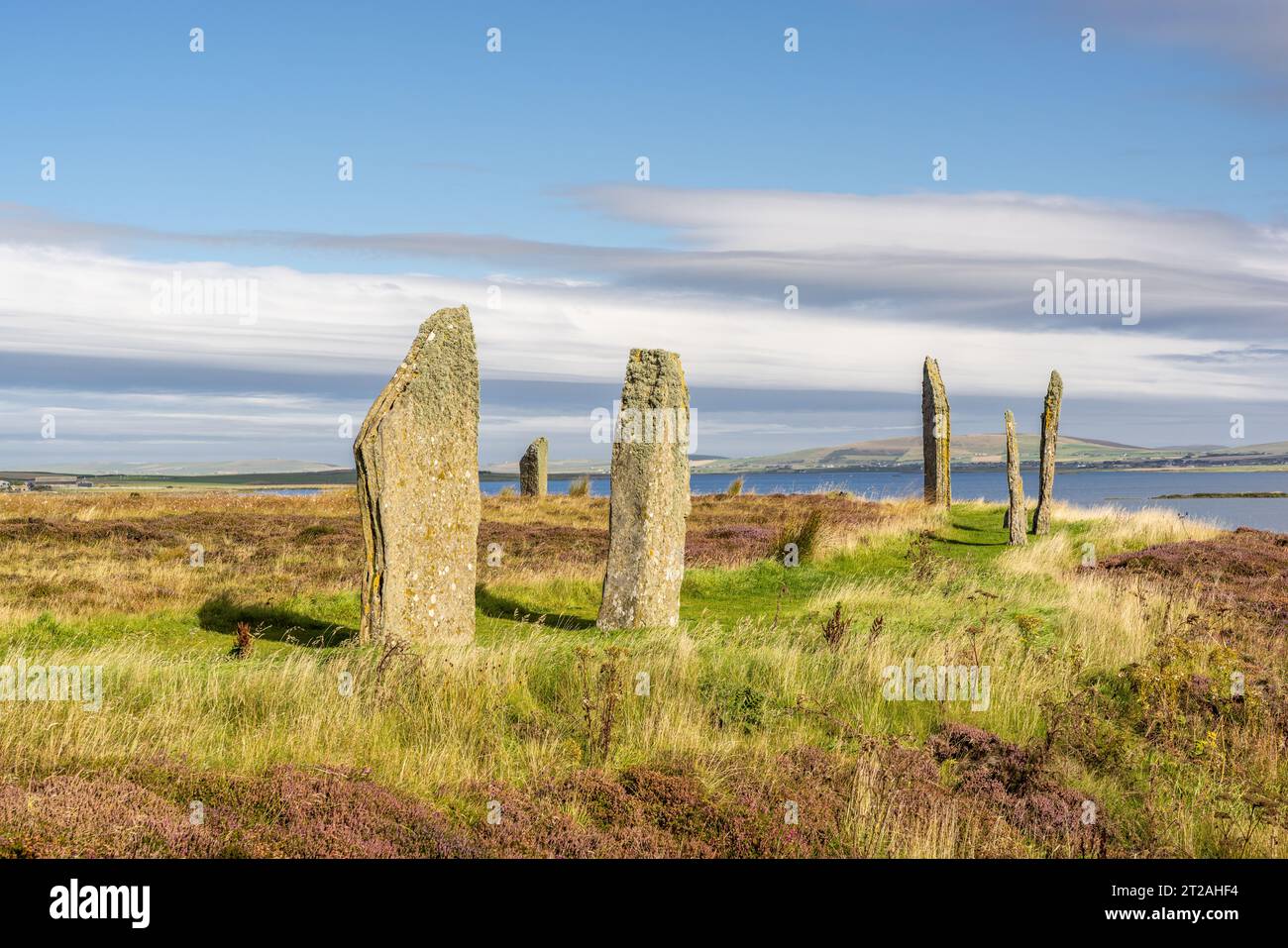 Stone Circle of Brodgar, Stromness, Mainland, Orkney Islands, Scozia, REGNO UNITO Foto Stock