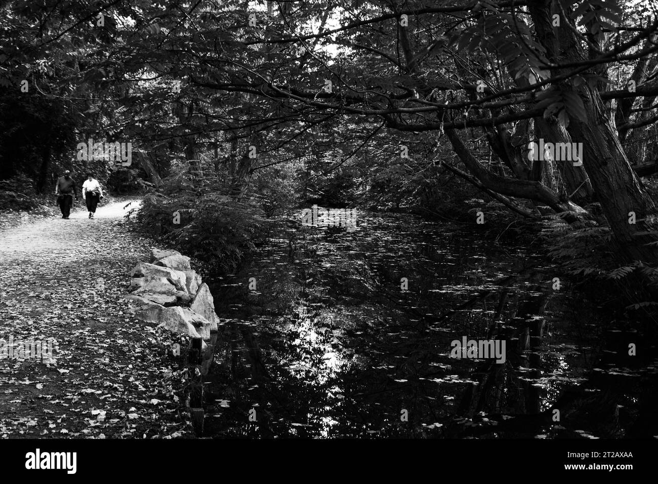 PARIGI, FRANCIA - 14 OTTOBRE 2018: Una coppia matura cammina vicino al torrente nella foresta di Vincennes a Parigi. Studi medici dimostrano che camminare può ridurre il rischio o Foto Stock