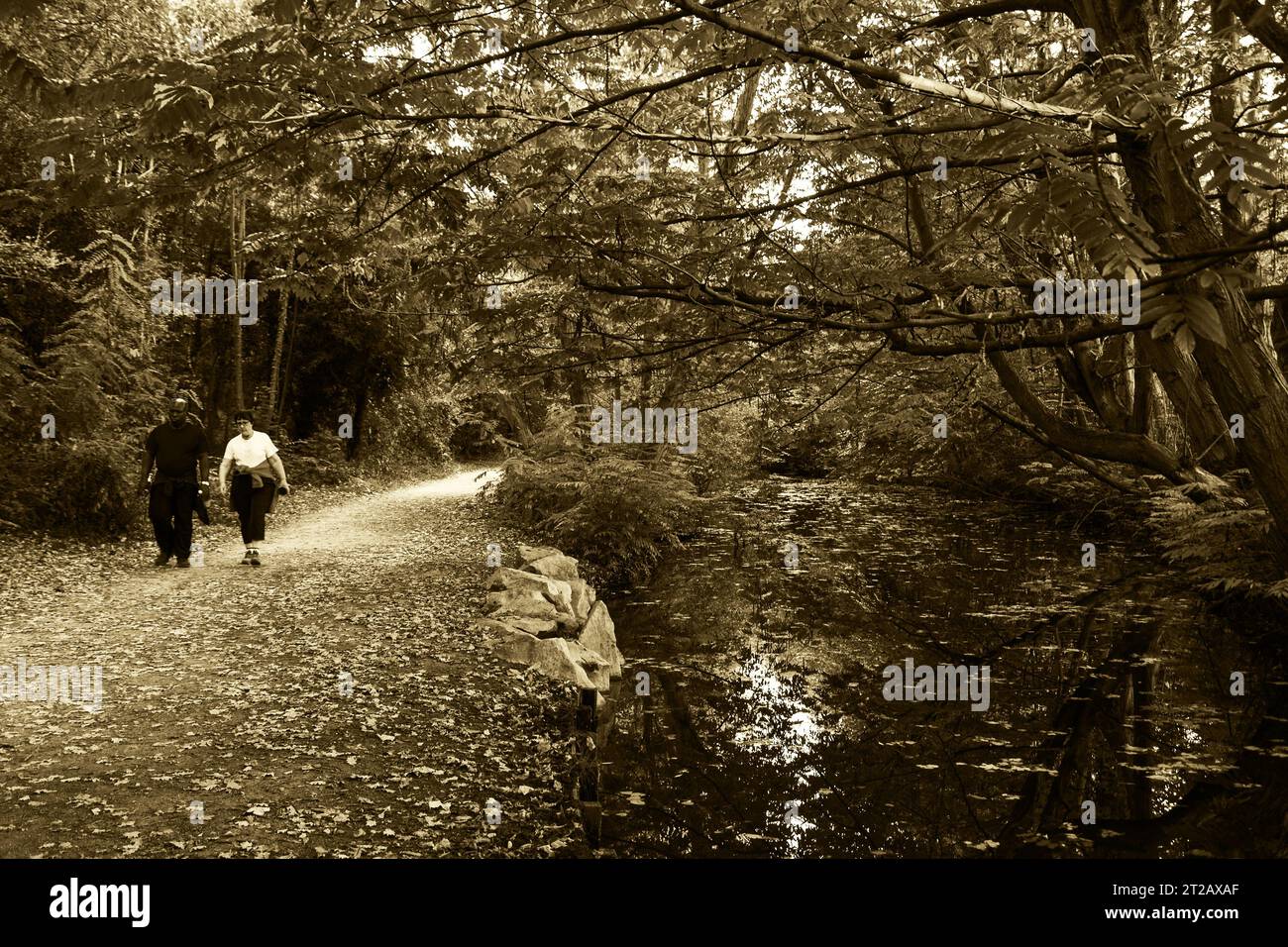 PARIGI, FRANCIA - 14 OTTOBRE 2018: Coppia matura cammina vicino al torrente nella foresta Vincennes di Parigi al tramonto. Studi medici dimostrano che camminare può ridurre Foto Stock