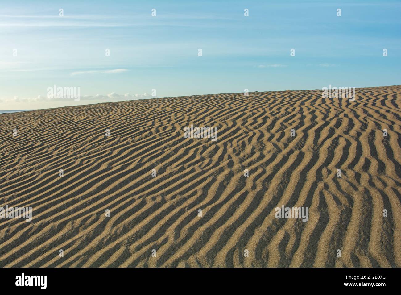 Linee nella sabbia del deserto con cielo blu Foto Stock