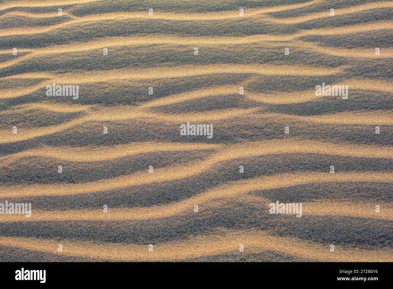 Paesaggio con disegno di sabbia Foto Stock