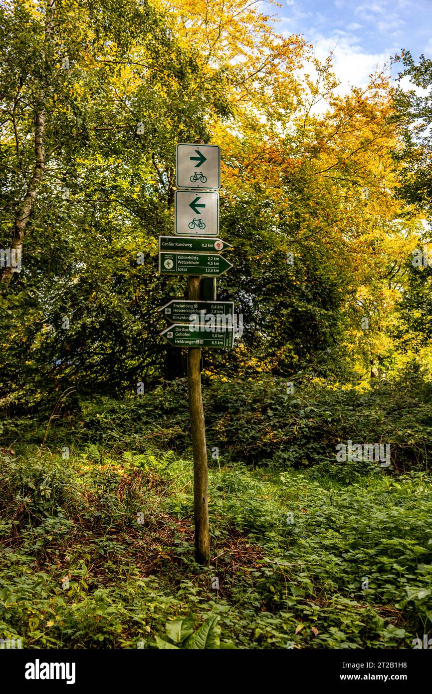 Escursione autunnale attraverso il Parco naturale Hohe Schrecke a Kyffhäuser - Turingia - Germania Foto Stock
