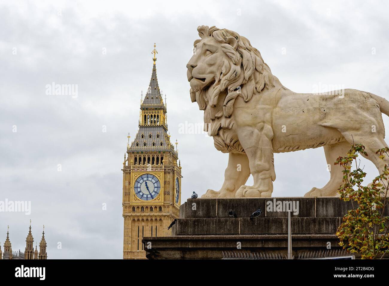 Primo piano di una grande statua di leone in pietra con la torre del Big Ben e l'orologio sullo sfondo, Central London England UK Foto Stock