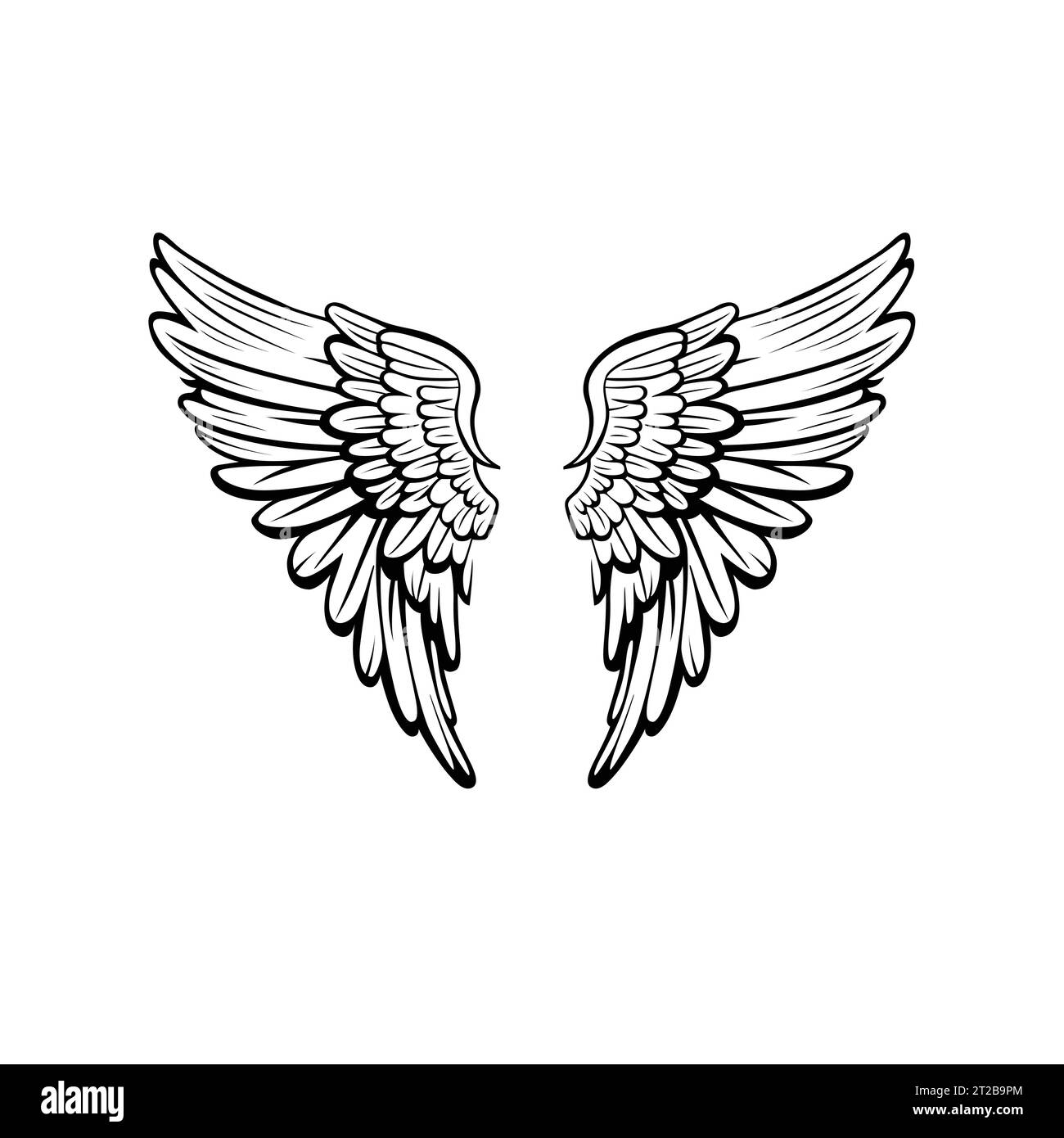 Ali di angeli in forma vettoriale. Illustrazione in bianco e nero di un mazzo di ali con piume. Illustrazione Vettoriale