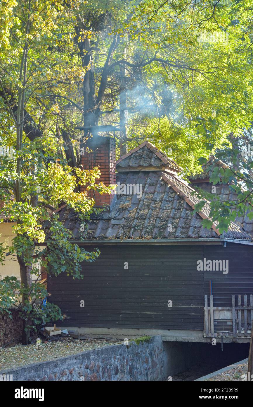 Cottage nella foresta con camino, Berovo Macedonia Foto Stock