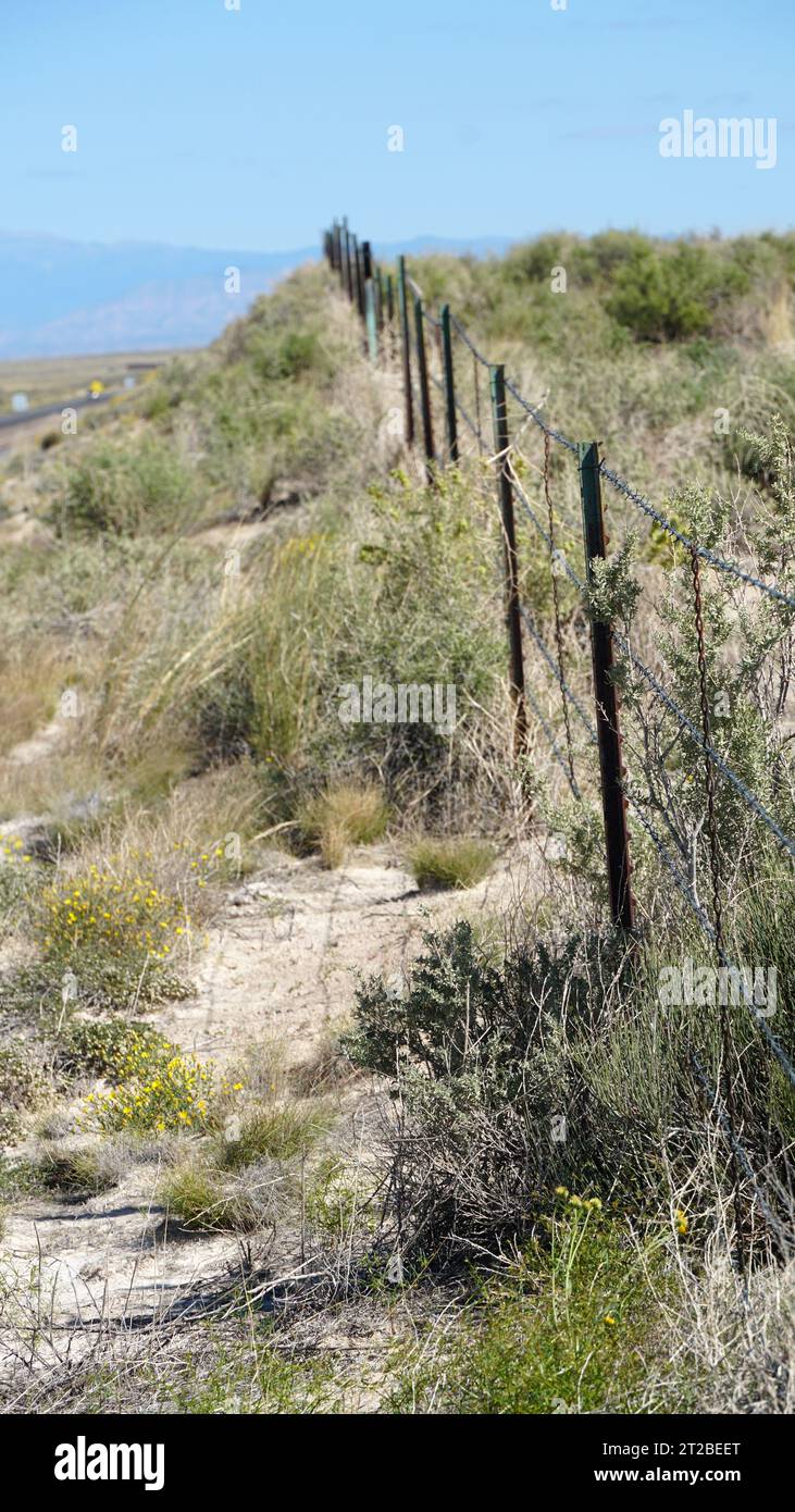 Recinzione nel deserto Foto Stock