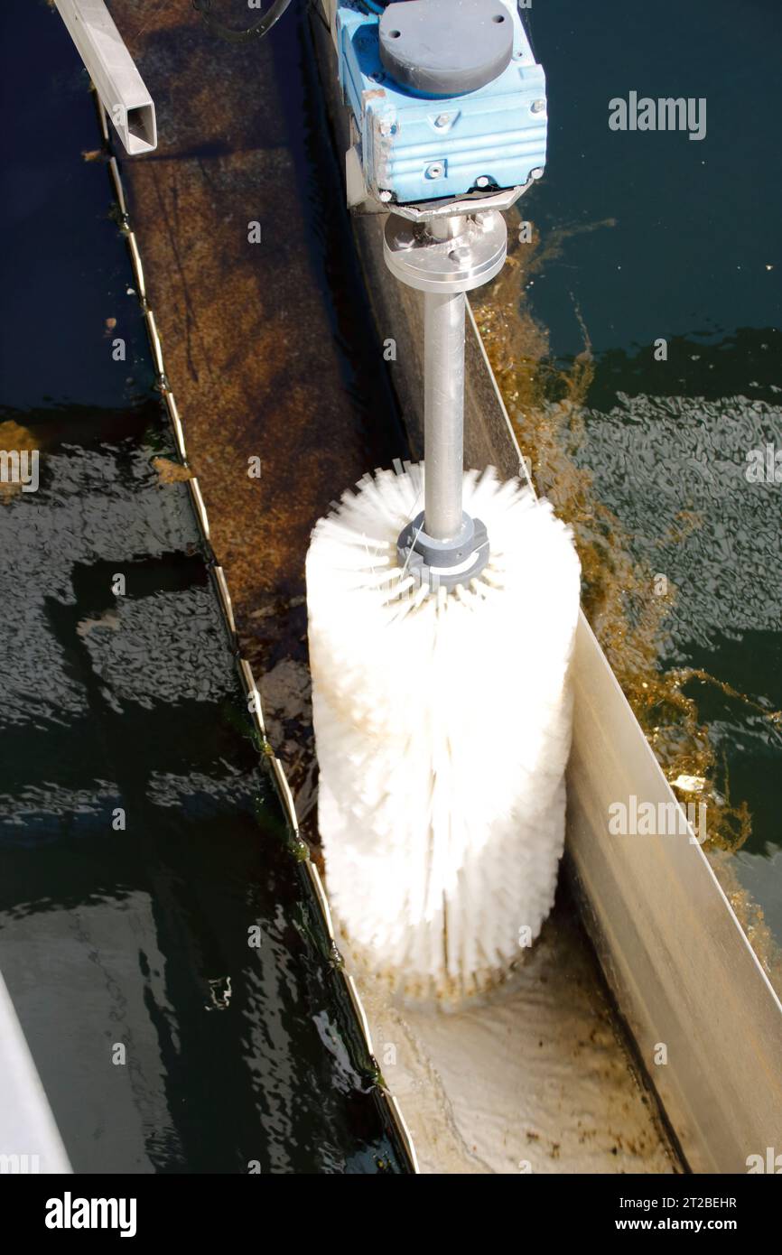 Spazzola per la pulizia del canale di drenaggio nel serbatoio di chiarificazione secondario di un impianto di trattamento delle acque reflue Foto Stock