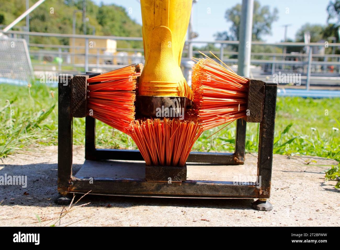 Spazzola per la pulizia dei pattini con un parapolvere nelle spazzole Foto Stock