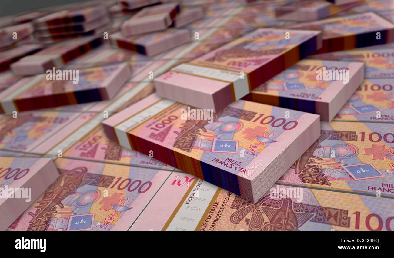 CFA dell'Africa occidentale Franco monetario Niger Mali Senegal Africa pacchetto illustrazione 3D. 1000 pile di banconote XOF. Concetto di finanza, economia, affari, b Foto Stock