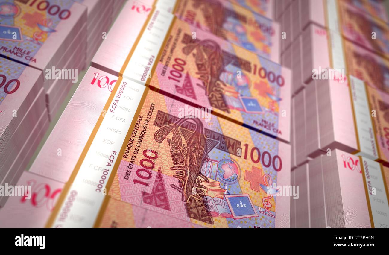 CFA dell'Africa occidentale Franco monetario Niger Mali Senegal Africa pacchetto illustrazione 3D. 1000 pile di banconote XOF. Concetto di finanza, economia, affari, b Foto Stock