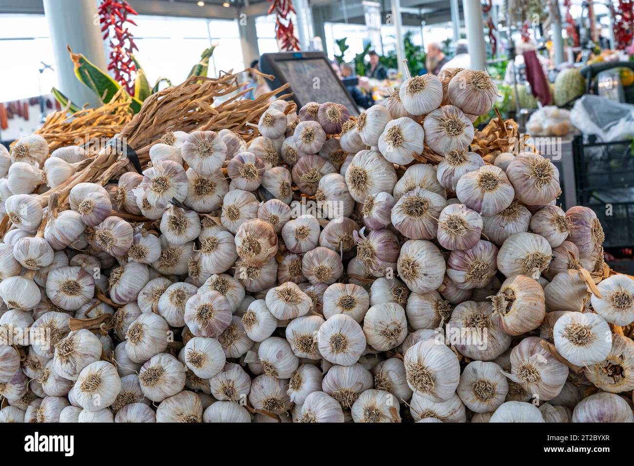 Grande esposizione di bulbi d'aglio biologici freschi in un mercato locale di Porto, Portogallo Foto Stock