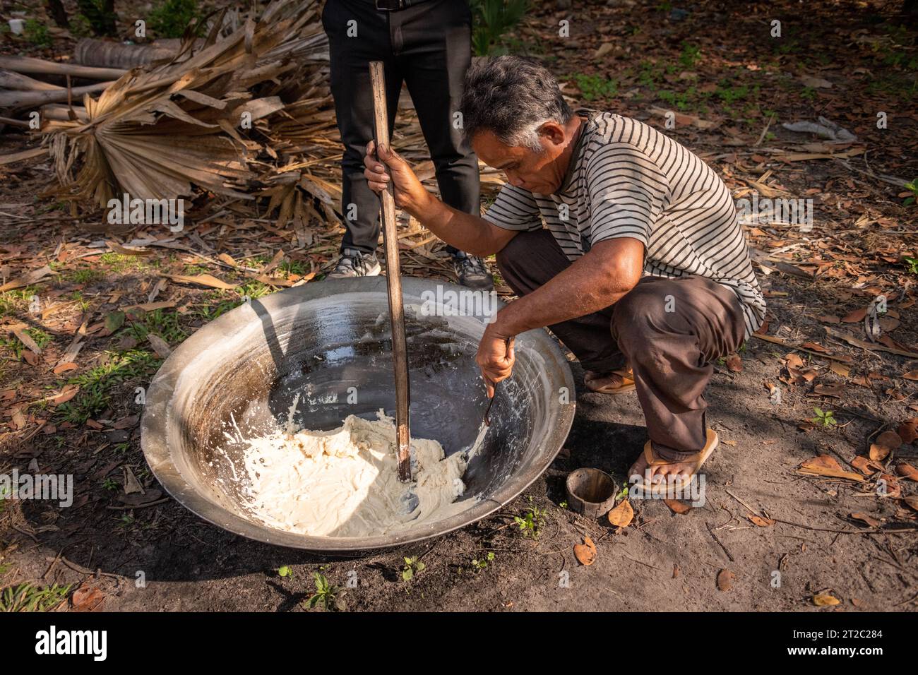 Uomo che fa zucchero di palma, Cambogia Foto Stock