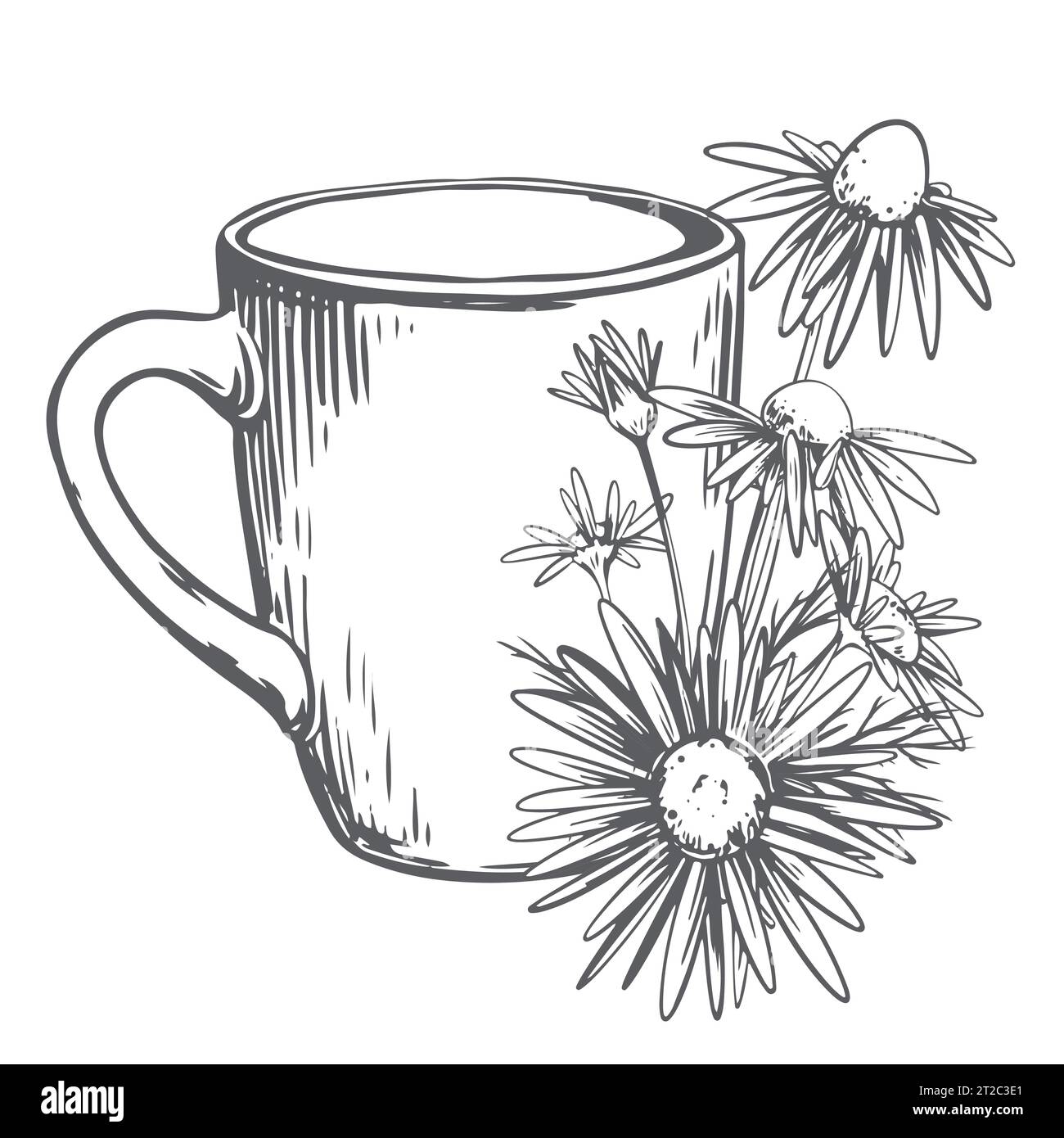 Tazza in ceramica bianca con tè alle erbe con fiori di camomilla su sfondo bianco. Illustrazione vettoriale nella tecnica di incisione. Disegno a linee. Sano drin Illustrazione Vettoriale
