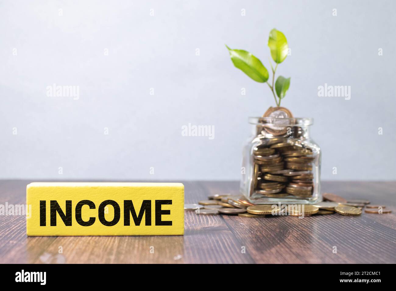 Reddito Word con Written on Blackboard with White Chalk in Horizontal Orientation, Business and Financial Conceptual. Foto Stock