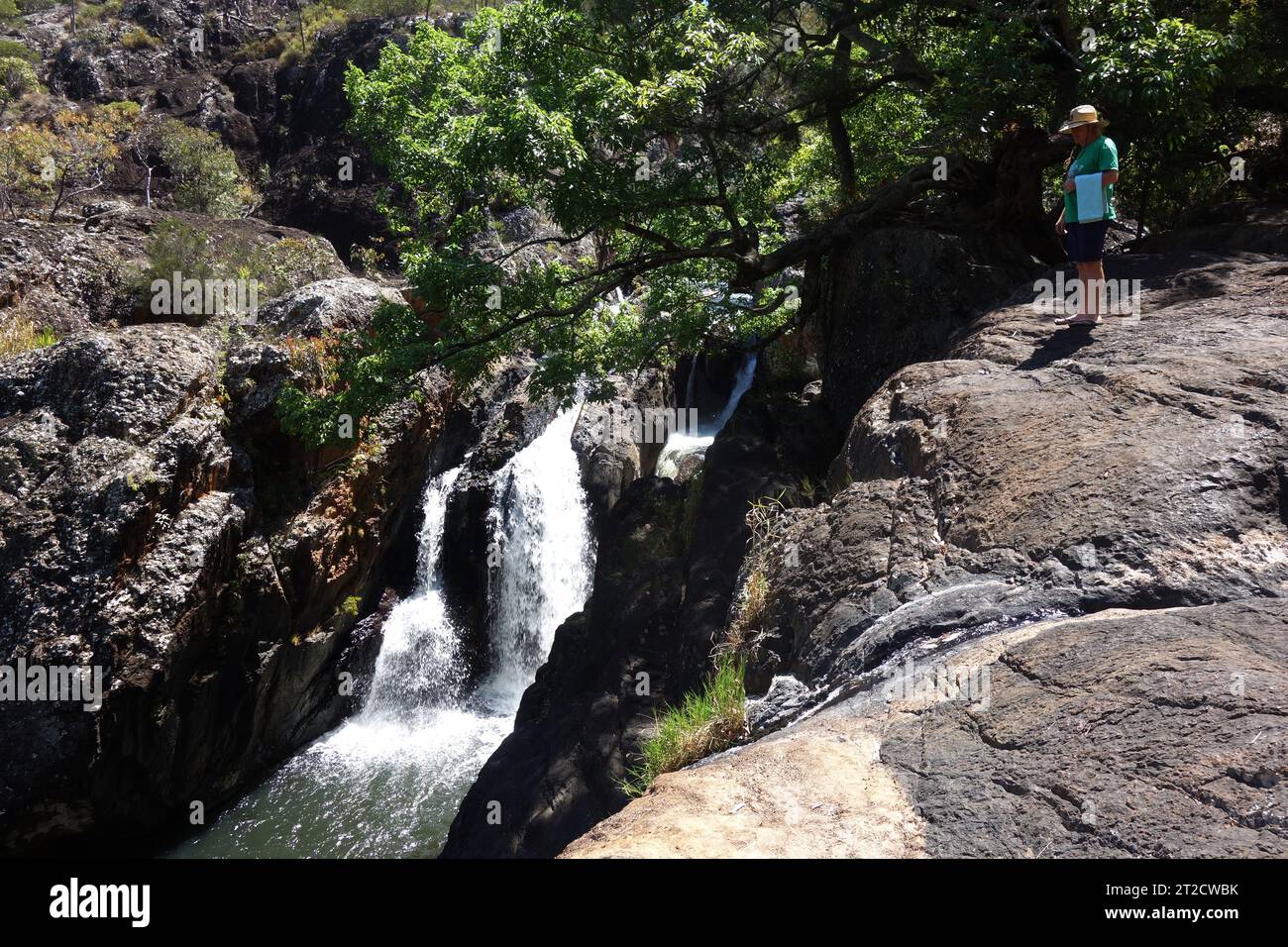 Pronti per una nuotata, Little Millstream Falls, vicino a Ravenshoe, Queensland, Australia. No, MR Foto Stock