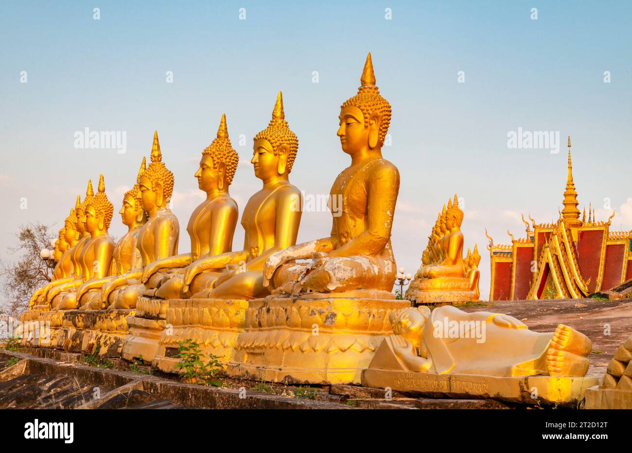 File di bellissime sculture in oro di Buddha in miniatura, illuminate dal sole che tramonta, allineate in cima a una parete in pendenza, accanto al tempio, Foto Stock