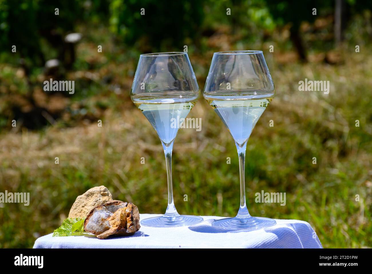 Bicchieri di vino bianco da vigneti di Pouilly-Fume appelazione ed esempio di terreno di selce, vicino a Pouilly-sur-Loire, Borgogna, Francia. Foto Stock