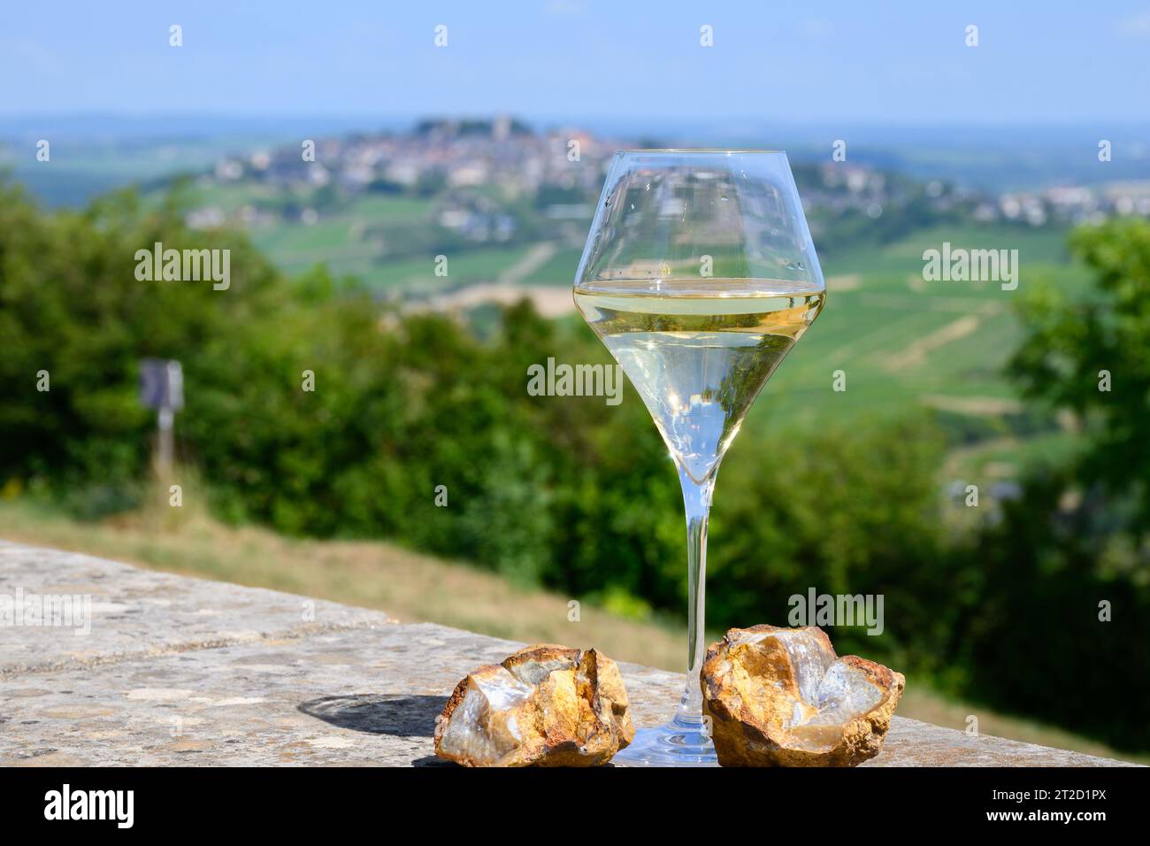 Bicchieri di vino bianco provenienti da vigneti di Sancerre Chavignol appelazione ed esempio di terreno di selce, vicino al villaggio di Sancerre, Cher, Valle della Loira, F Foto Stock