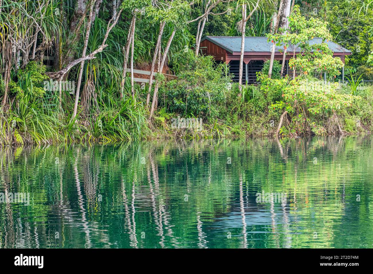 Lago Eacham, laghi cratere National Park, altopiano di Atherton, Queensland, Australia Foto Stock