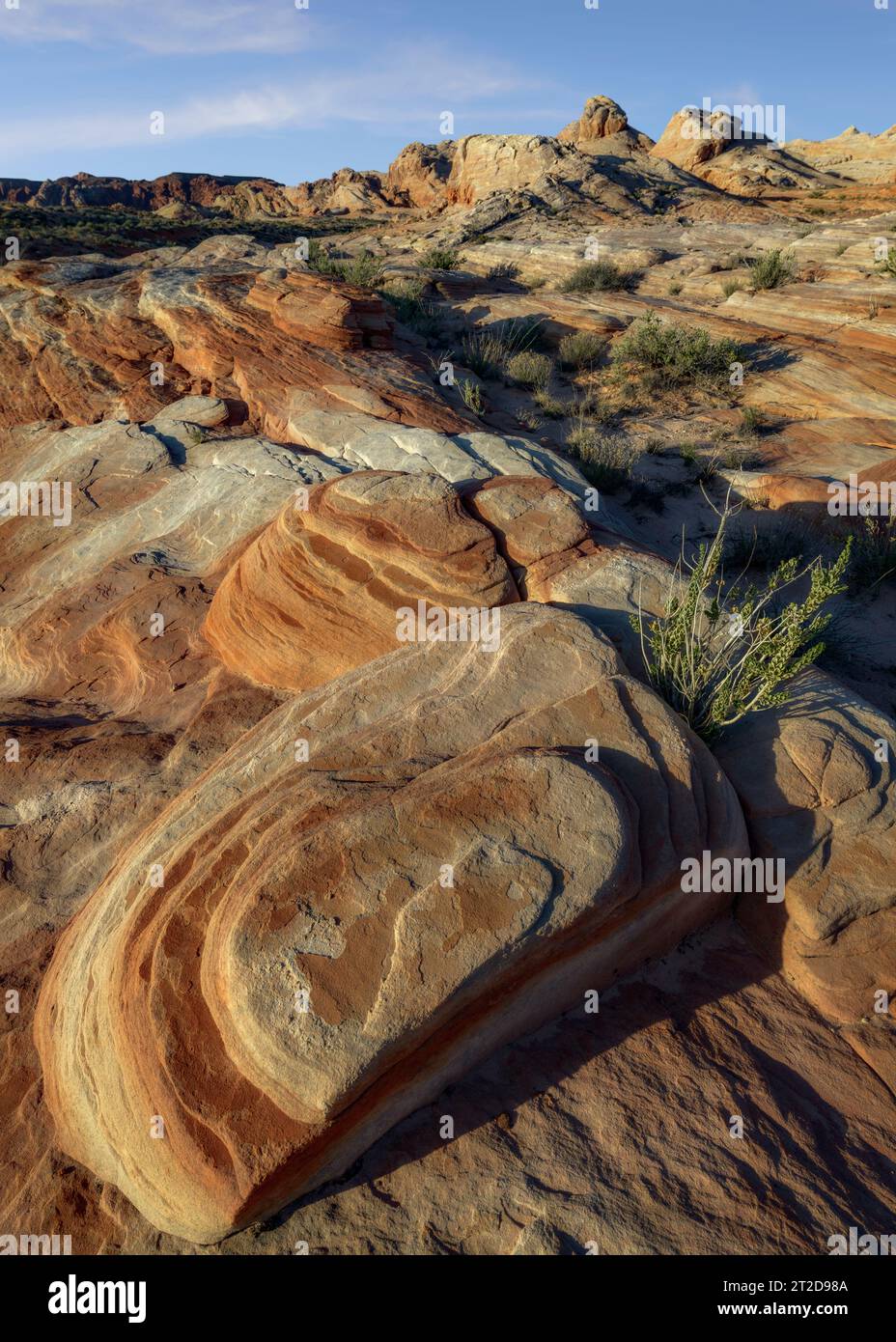 Formazioni di arenaria presso il Valley of Fire State Park, Nevada Foto Stock