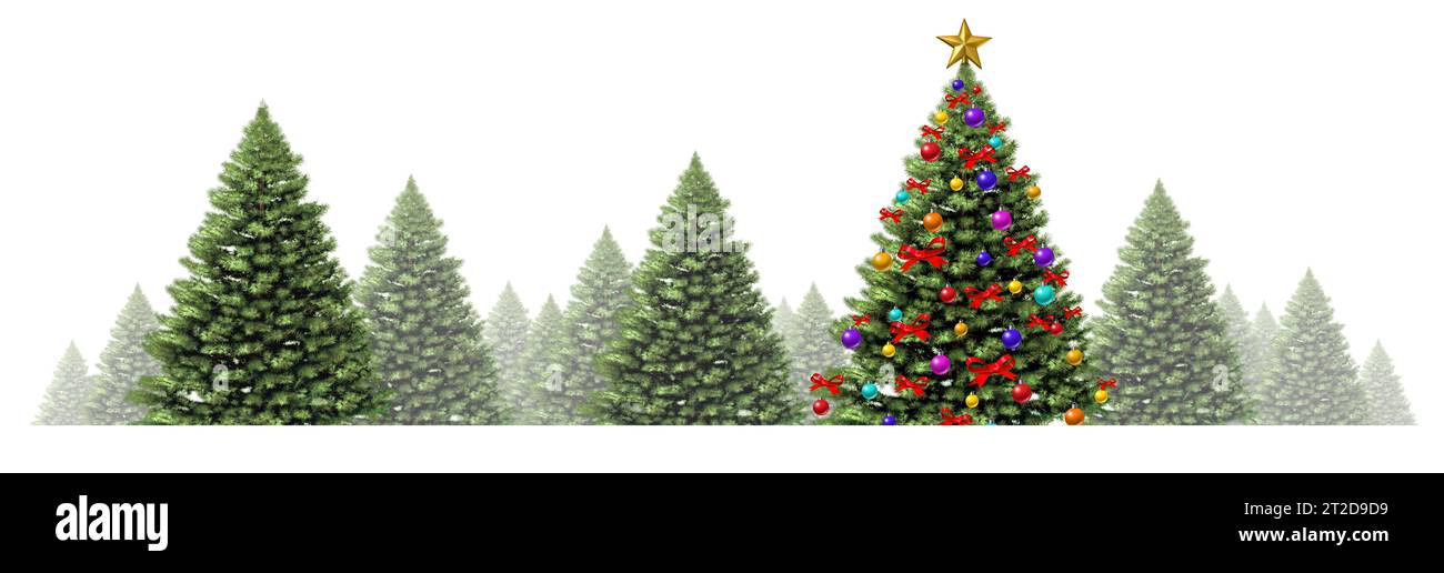Disegno del bordo del pino di Natale con un gruppo di alberi verdi invernali festivi su sfondo bianco come elemento forestale sempreverde con nebbia e neve per t Foto Stock