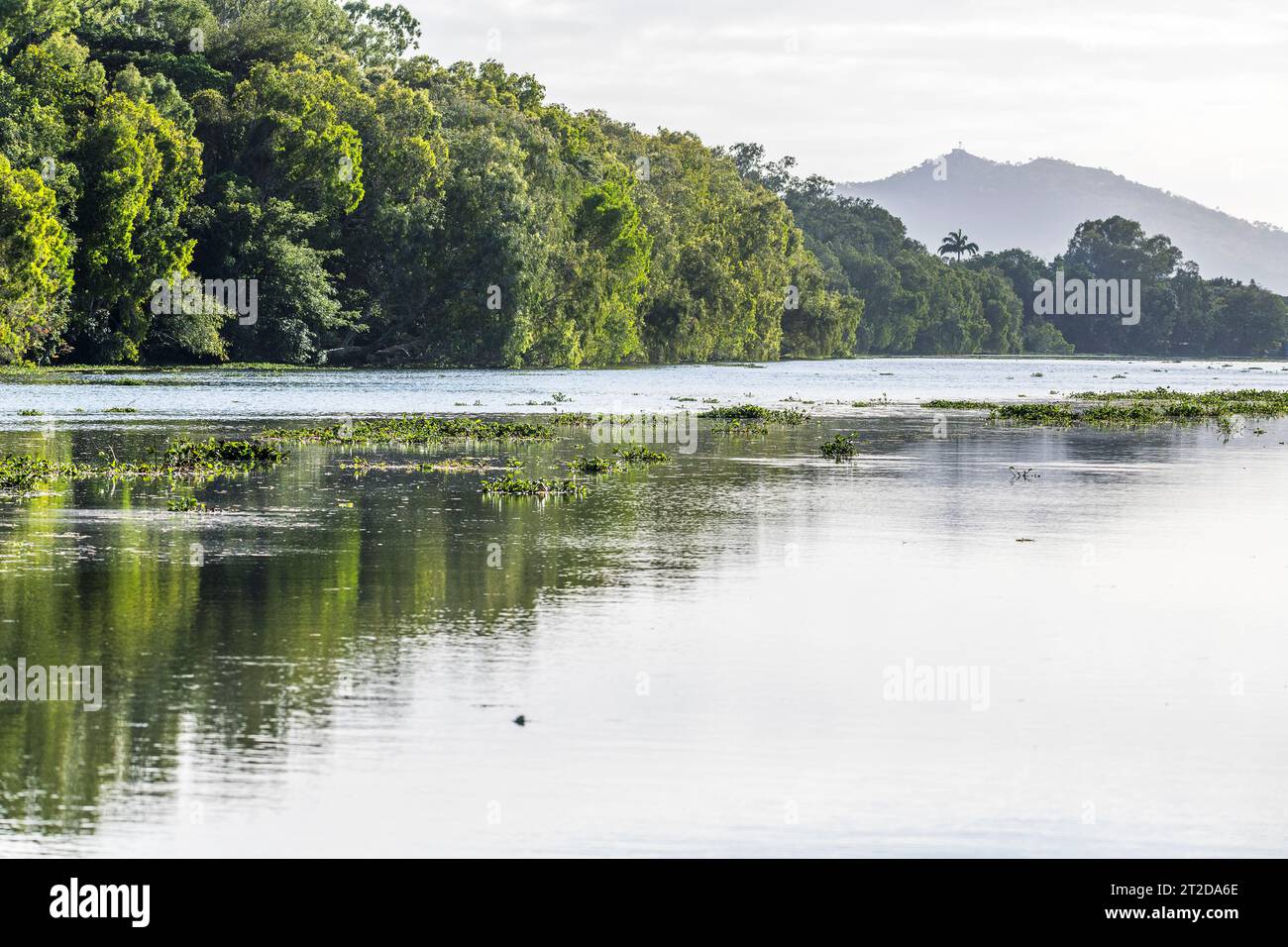 Ross River a Townsville, North Queensland, Queensland, Queensland, Australia Foto Stock