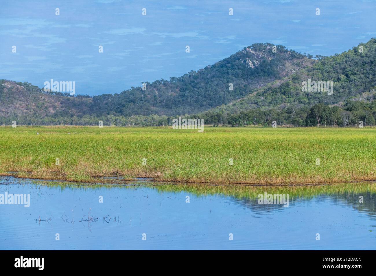 Città di Townsville Common Conservation Park, Pallarenda, QLD, Australia Foto Stock