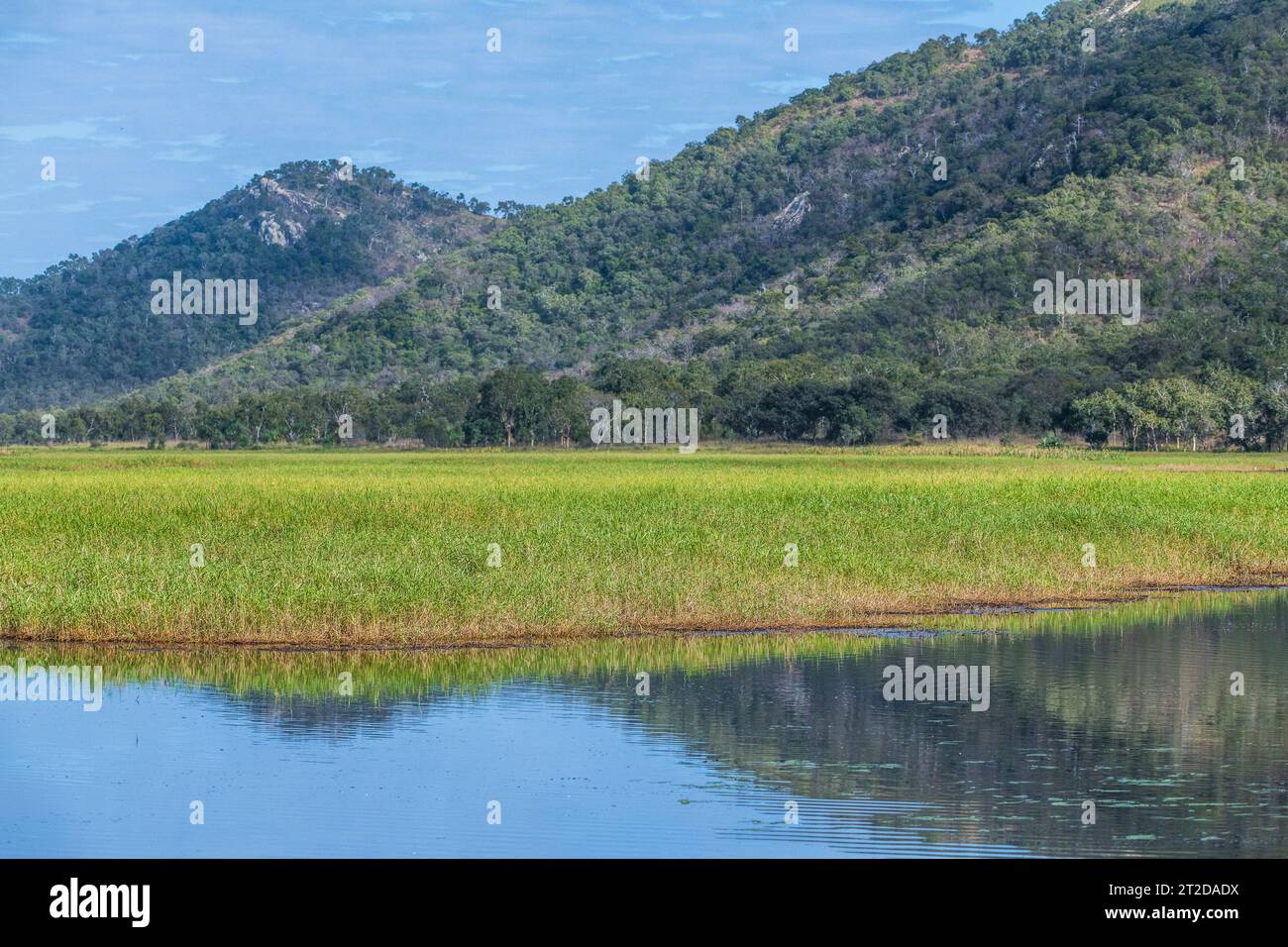 Città di Townsville Common Conservation Park, Pallarenda, QLD, Australia Foto Stock