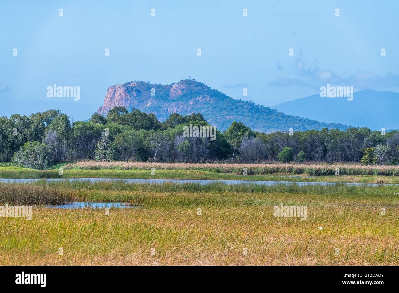 Città di Townsville Common Conservation Park, Pallarenda, QLD, Australia Foto Stock