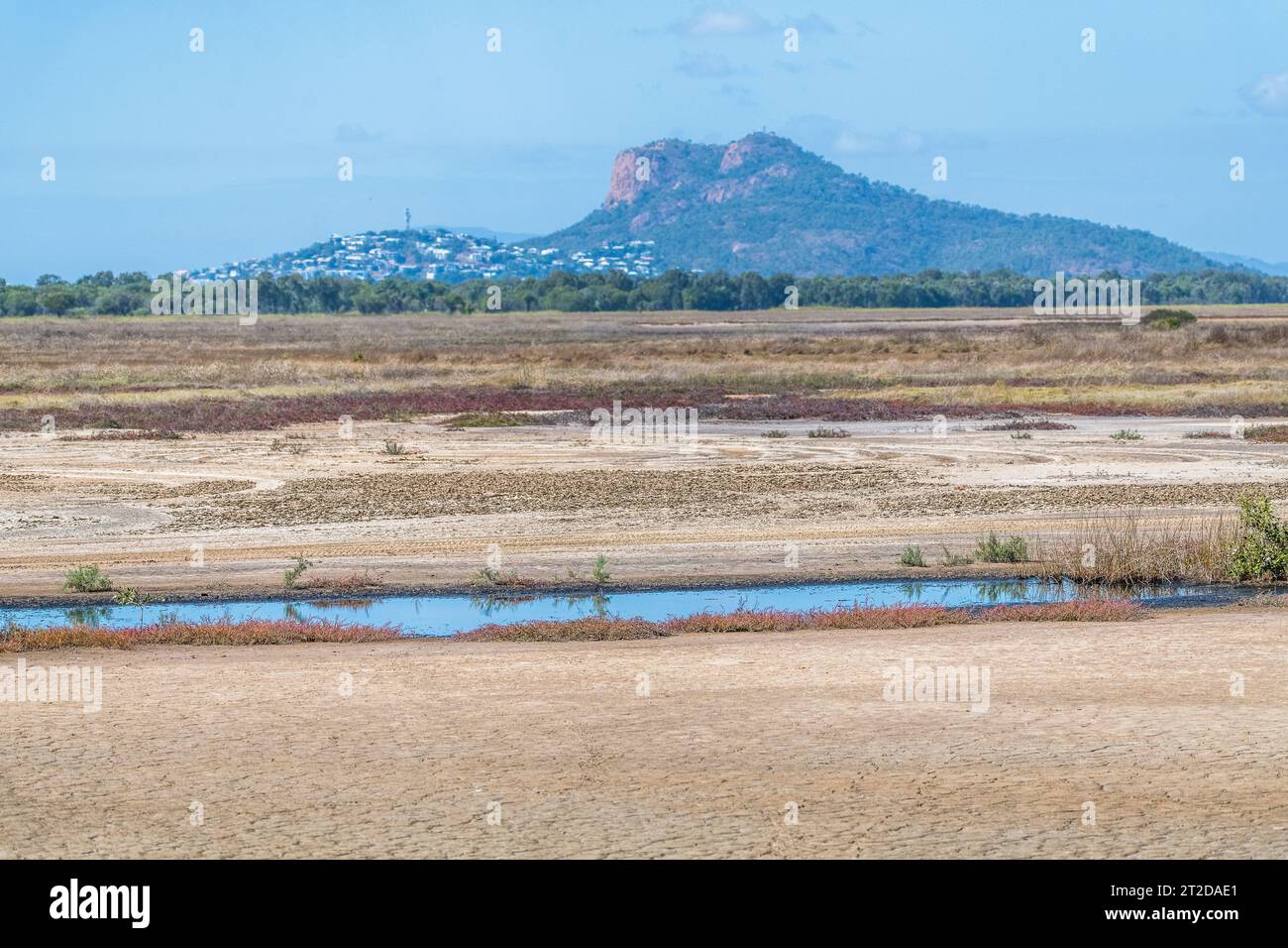Città di Townsville Common Conservation Park, Pallarenda, QLD, Australia Foto Stock