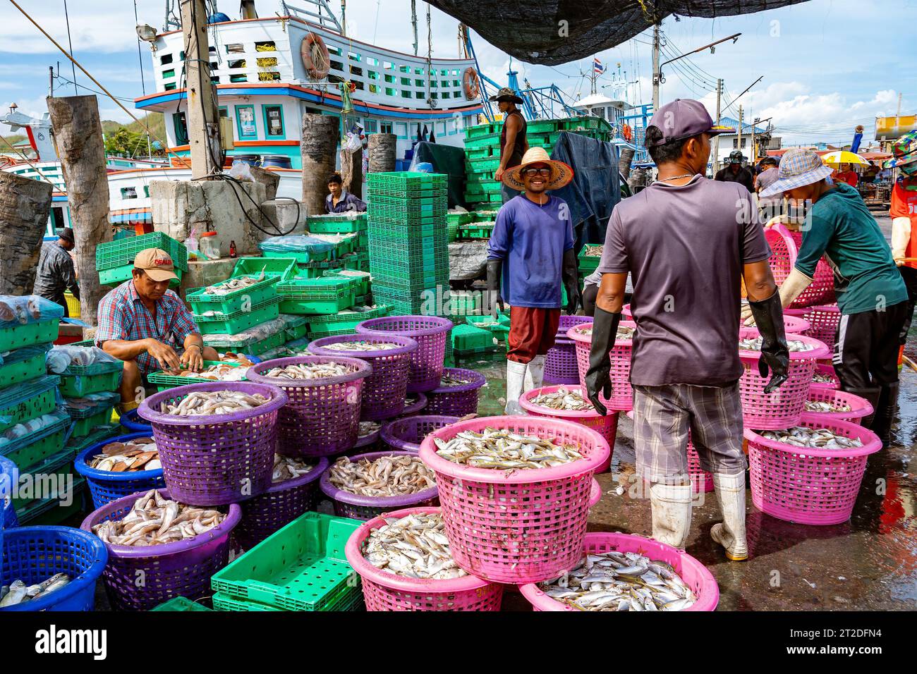 Villaggio di pescatori di Samaesan, Thailandia, 1 settembre 2023: I lavoratori scaricano i pesci da un peschereccio nelle vicinanze in cesti e li impilano per i potenziali acquirenti Foto Stock