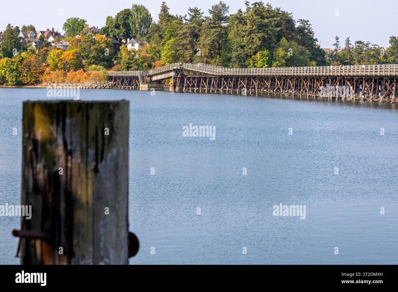 Selkirk Trestle Bridge, Victoria, Vancouver Island Foto Stock