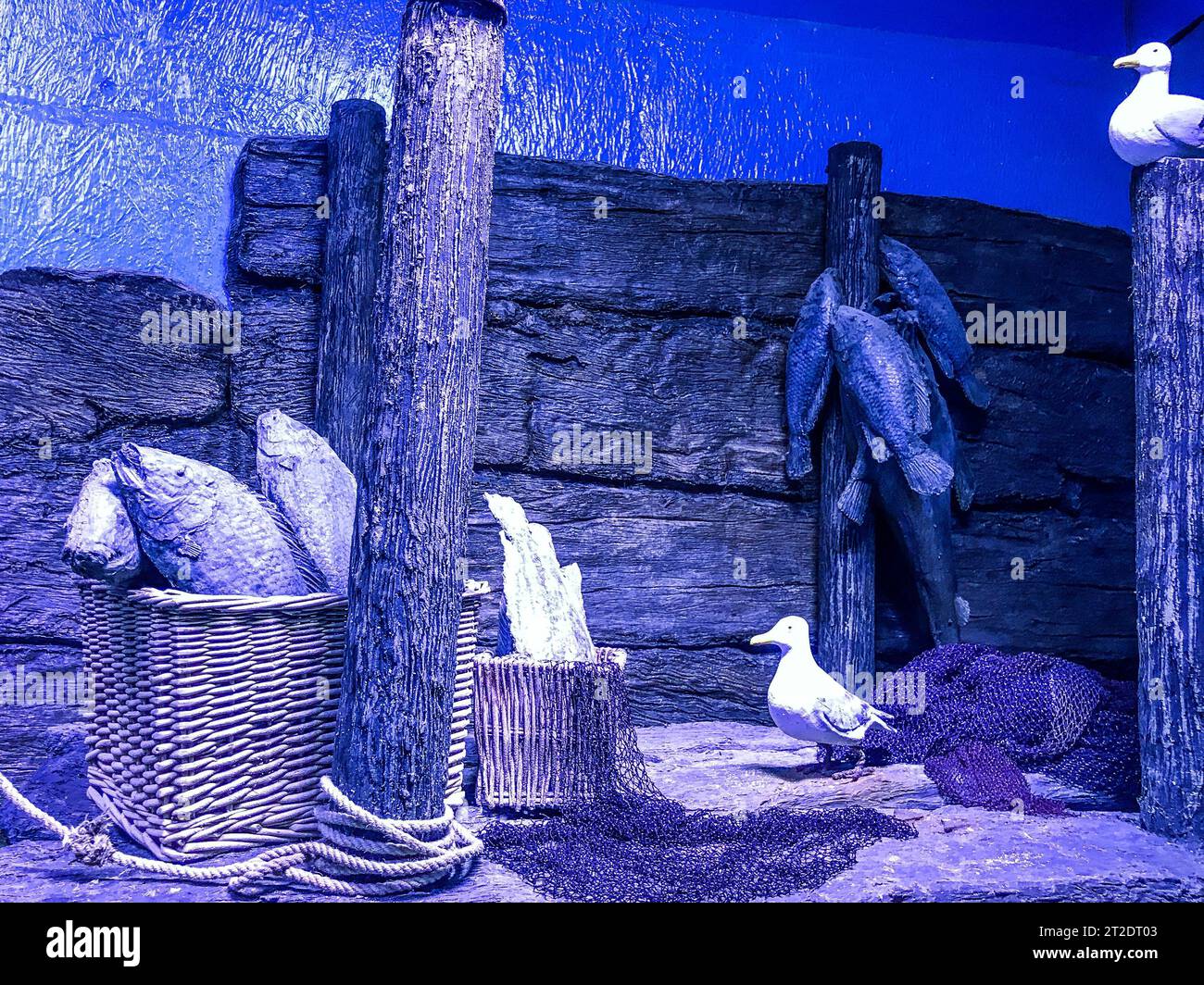 l'antica città affondò sott'acqua a causa del relitto. sculture in gesso e colonne, antica piazza. l'antica città è ora sede di pesci. Foto Stock