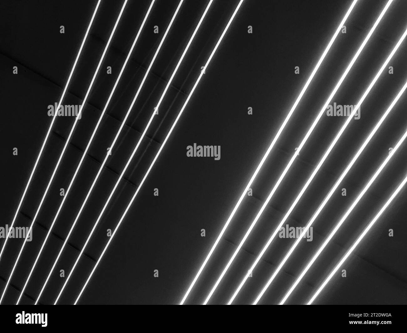 Struttura di strisce e linee astratte laser multicolore LED al neon luminose e luminose in bianco e nero provenienti da lampade parallele. Lo sfondo. Foto Stock