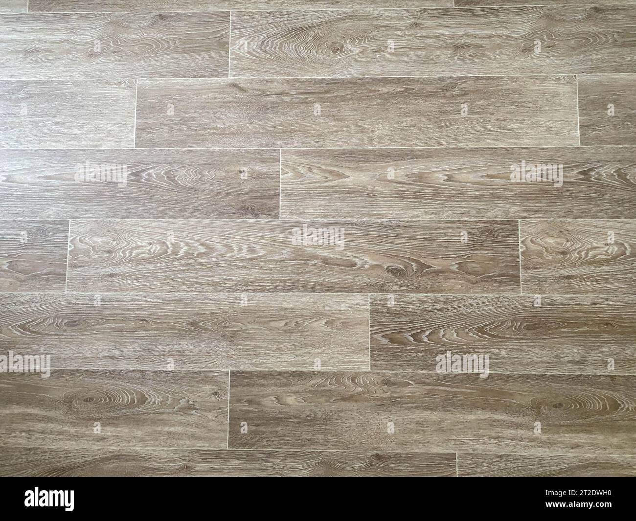 Frammento di pavimento in vinile con tavole in legno imitazione goffrata. Foto Stock