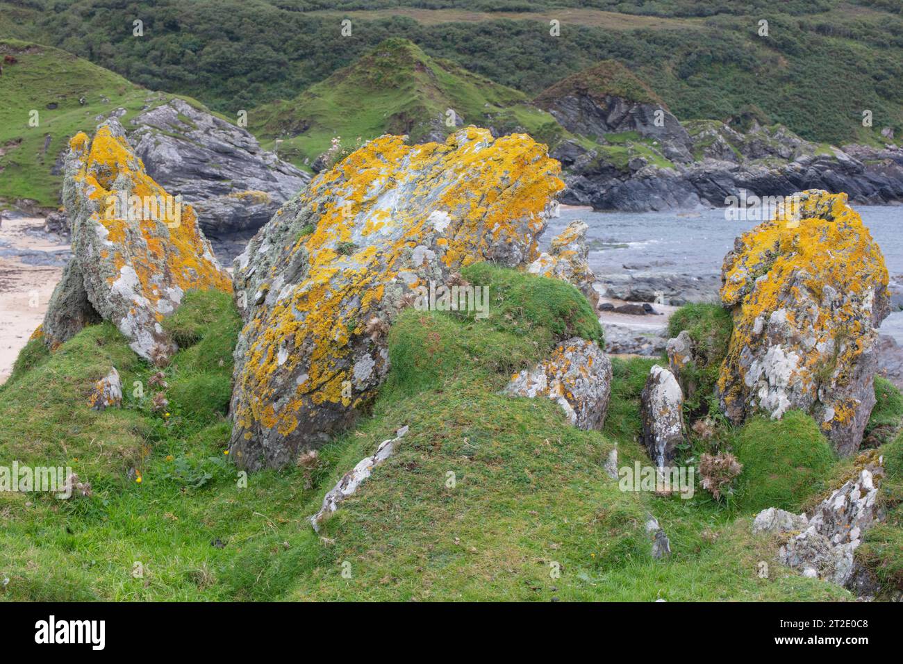 Spettacolari calanchi, archi e arcate marine caratterizzano la costa tra Kintra e Port Alsaig su Islay. Foto Stock