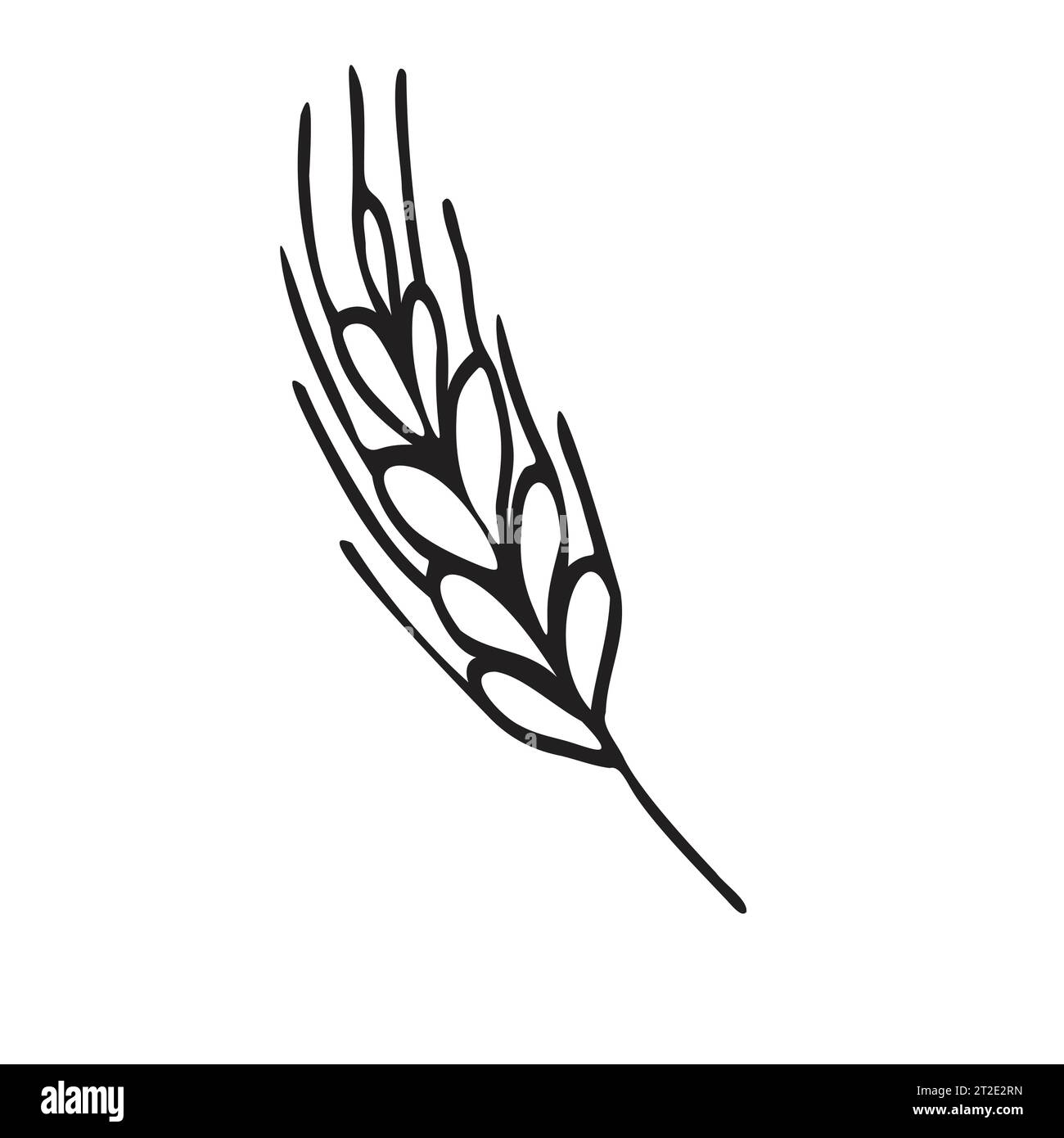 Spikelet di grano in stile doodle. Semplice schizzo in bianco e nero di gambo di frumento, orzo o segale per prodotti da forno, farina, confezione.illustrazione vettoriale Illustrazione Vettoriale