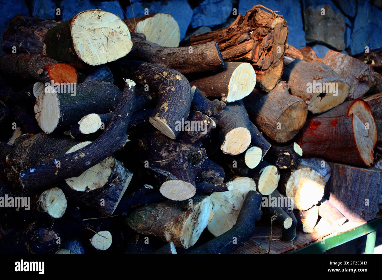 Legno impilato Foto Stock