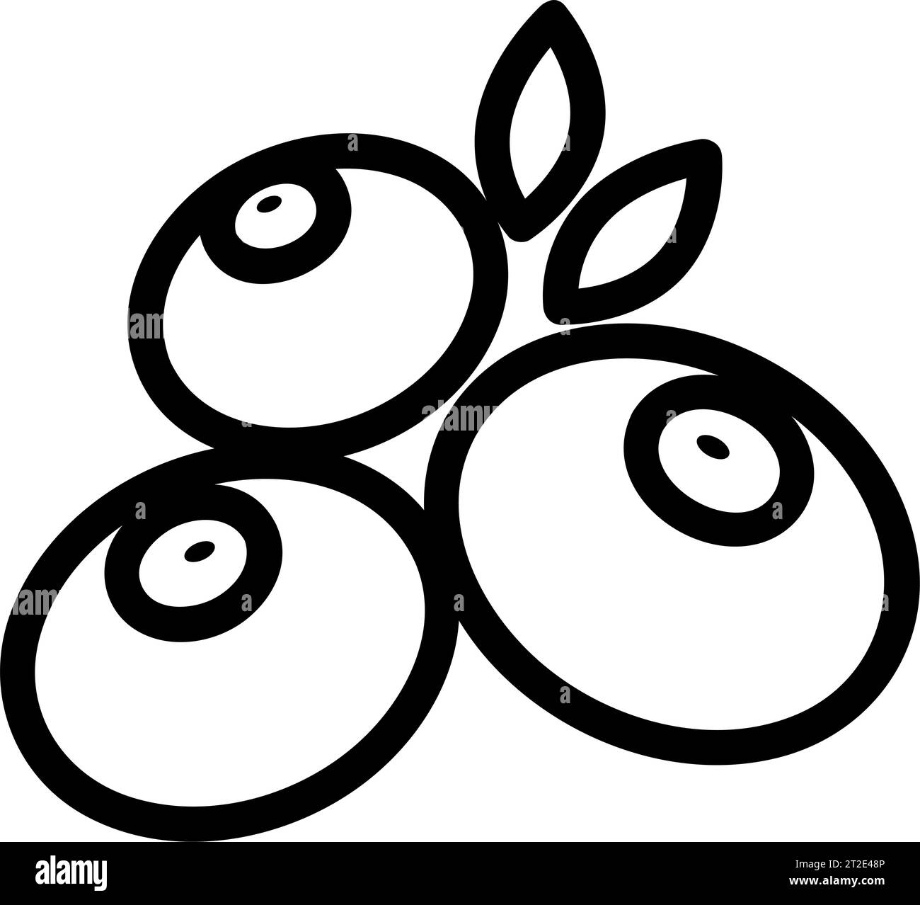 Immagine vettoriale di un biglietto d'auguri con mirtilli e foglie. Illustrazione Vettoriale