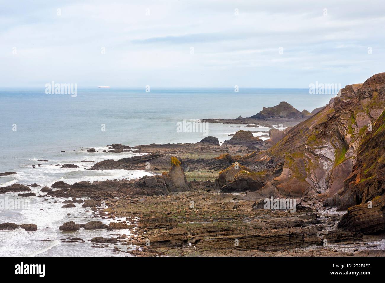 Bassa marea a Warren Beach vicino a Hartland Quay, costa del North Devon, Regno Unito Foto Stock